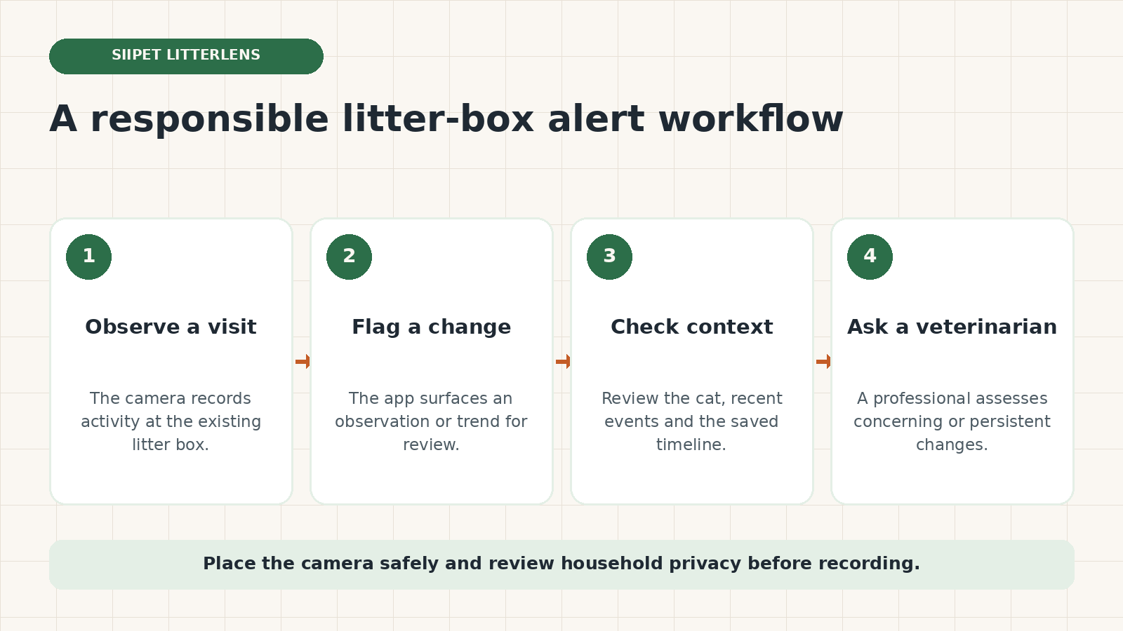 Four-step LitterLens workflow from observing a litter-box visit to reviewing context and asking a veterinarian about concerns.