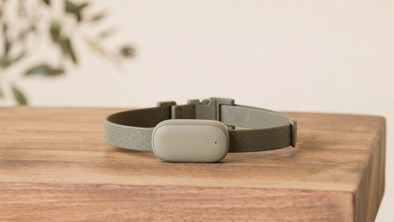 SATELLAI Collar Go vs Tractive GPS 2026
